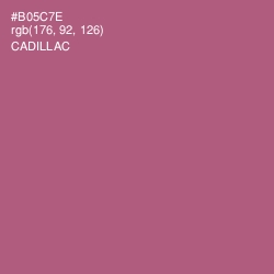 #B05C7E - Cadillac Color Image