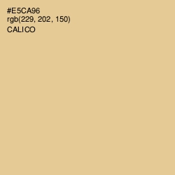 #E5CA96 - Calico Color Image