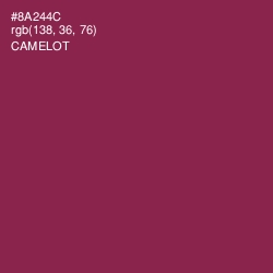 #8A244C - Camelot Color Image