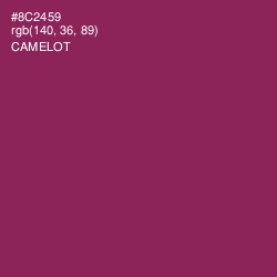#8C2459 - Camelot Color Image
