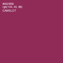 #902B58 - Camelot Color Image