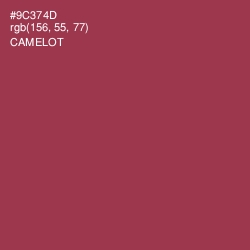 #9C374D - Camelot Color Image