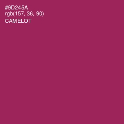 #9D245A - Camelot Color Image