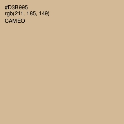 #D3B995 - Cameo Color Image