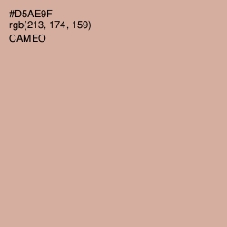 #D5AE9F - Cameo Color Image