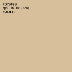 #D7BF9B - Cameo Color Image