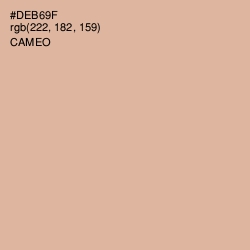#DEB69F - Cameo Color Image