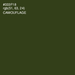 #333F18 - Camouflage Color Image