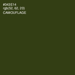 #343E14 - Camouflage Color Image