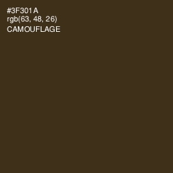 #3F301A - Camouflage Color Image