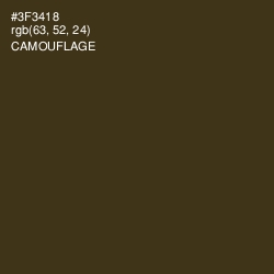 #3F3418 - Camouflage Color Image