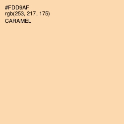 #FDD9AF - Caramel Color Image
