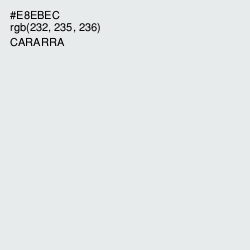 #E8EBEC - Cararra Color Image