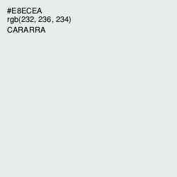 #E8ECEA - Cararra Color Image