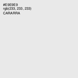 #E9E9E9 - Cararra Color Image