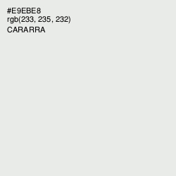 #E9EBE8 - Cararra Color Image