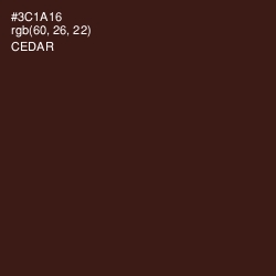 #3C1A16 - Cedar Color Image