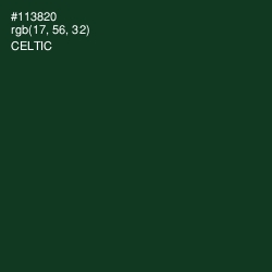 #113820 - Celtic Color Image