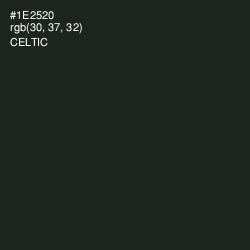 #1E2520 - Celtic Color Image