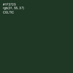 #1F3725 - Celtic Color Image