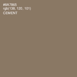 #8A7865 - Cement Color Image