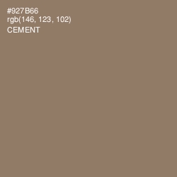 #927B66 - Cement Color Image