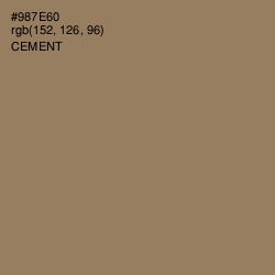 #987E60 - Cement Color Image