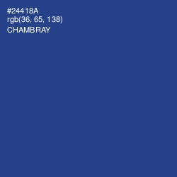 #24418A - Chambray Color Image
