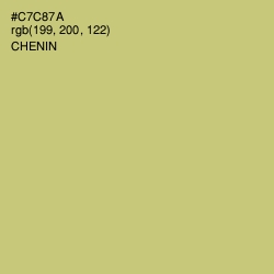 #C7C87A - Chenin Color Image