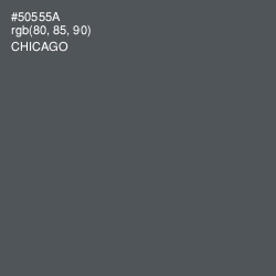 #50555A - Chicago Color Image