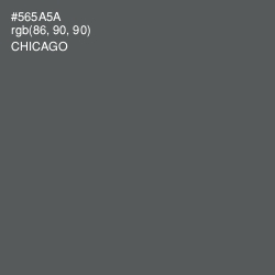 #565A5A - Chicago Color Image