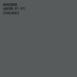 #585B5B - Chicago Color Image