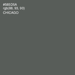 #585D5A - Chicago Color Image