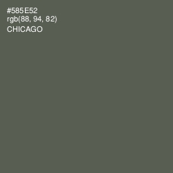 #585E52 - Chicago Color Image