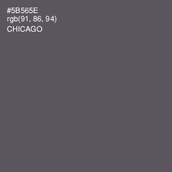 #5B565E - Chicago Color Image
