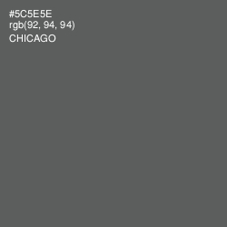 #5C5E5E - Chicago Color Image