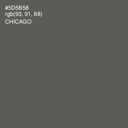 #5D5B58 - Chicago Color Image