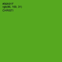 #56A91F - Christi Color Image