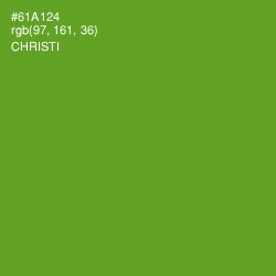 #61A124 - Christi Color Image