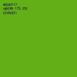 #63AF17 - Christi Color Image