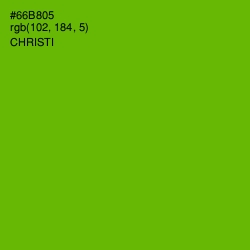 #66B805 - Christi Color Image