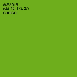 #6EAD1B - Christi Color Image