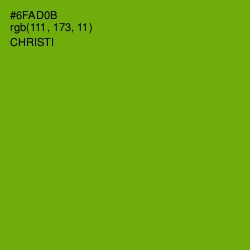 #6FAD0B - Christi Color Image