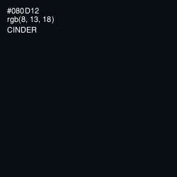 #080D12 - Cinder Color Image