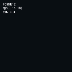 #090E12 - Cinder Color Image