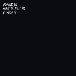 #0A0D10 - Cinder Color Image
