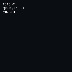 #0A0D11 - Cinder Color Image