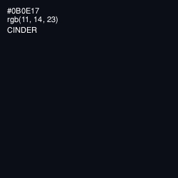 #0B0E17 - Cinder Color Image