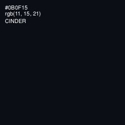 #0B0F15 - Cinder Color Image