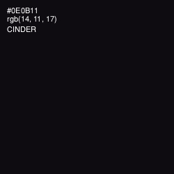 #0E0B11 - Cinder Color Image